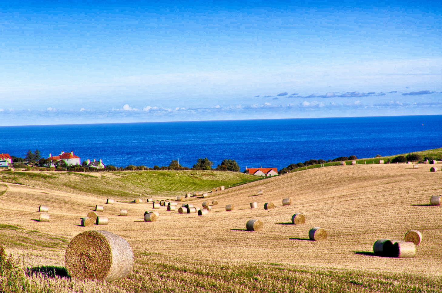 Equal height of thumbnail