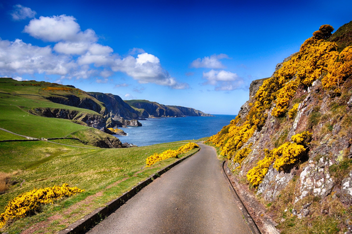 Equal height of thumbnail